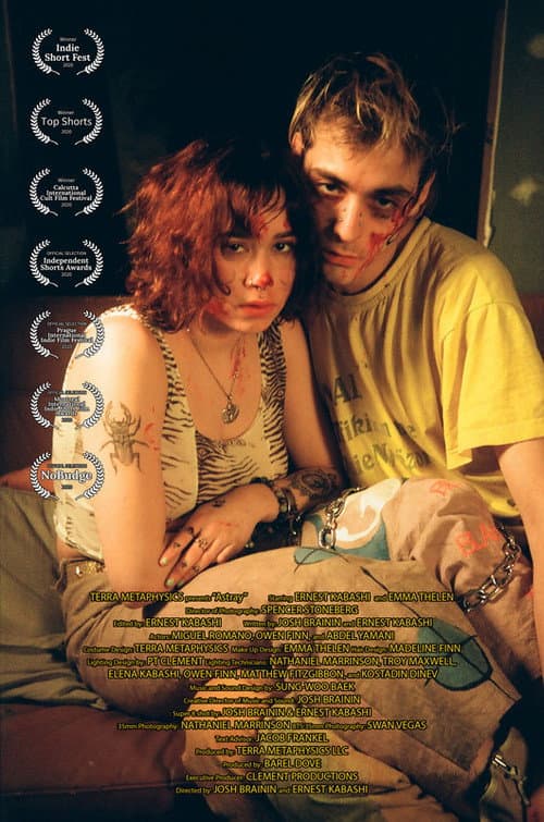 Poster for Astray