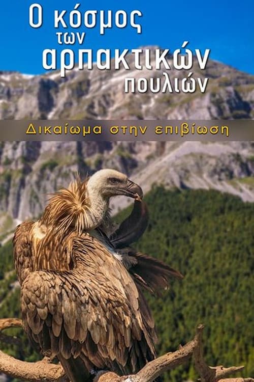 Poster for The World of Birds of Prey – Right to Survival