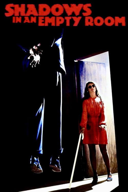 Poster for Shadows in an Empty Room