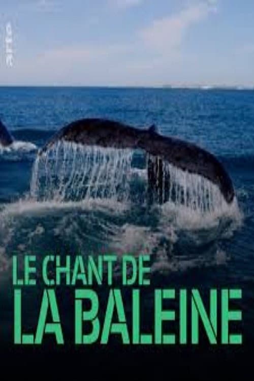 Poster for Whale Patrol