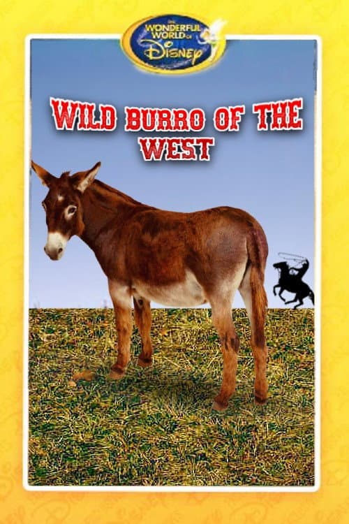 Poster for Wild Burro of the West