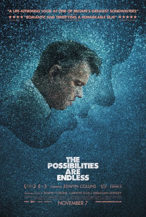 Poster for The Possibilities Are Endless