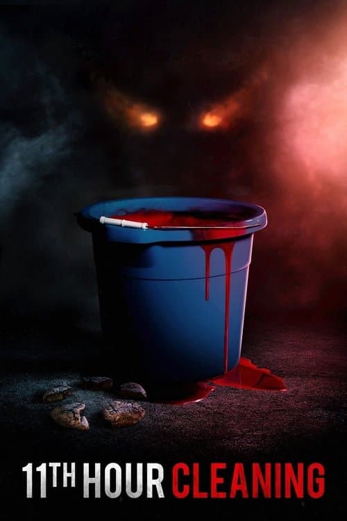 Poster for 11th Hour Cleaning
