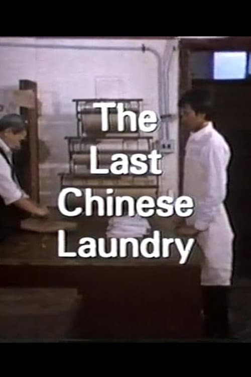 Poster for The Last Chinese Laundry