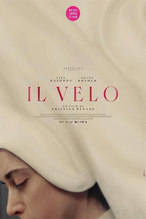 Poster for The Veil