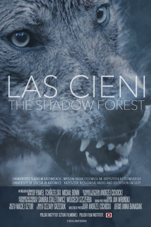 Poster for Las cieni