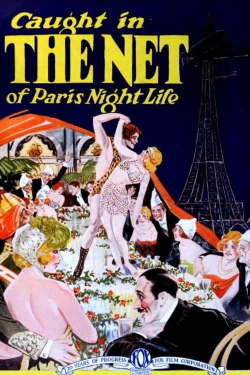Poster for The Net