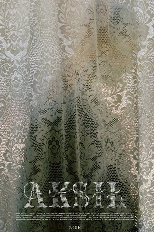 Poster for Aksil