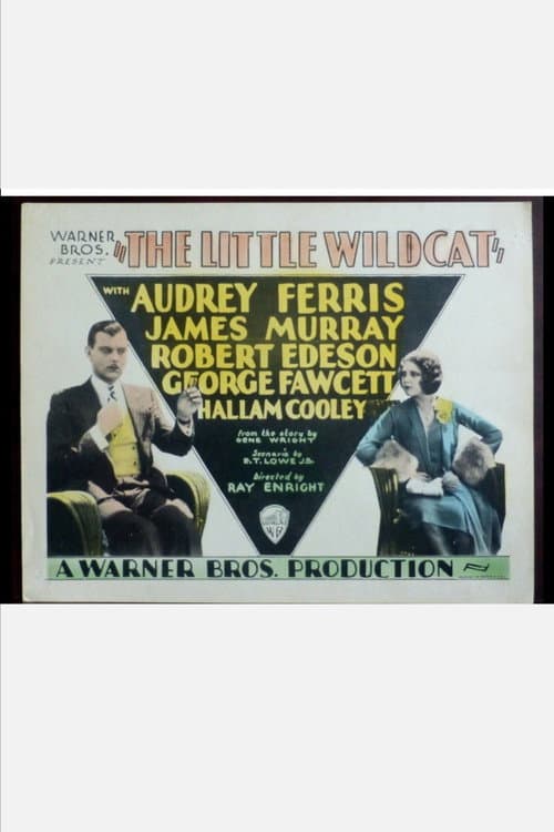 Poster for The Little Wildcat