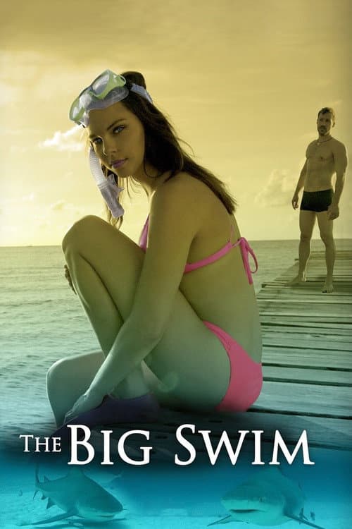 Poster for The Big Swim