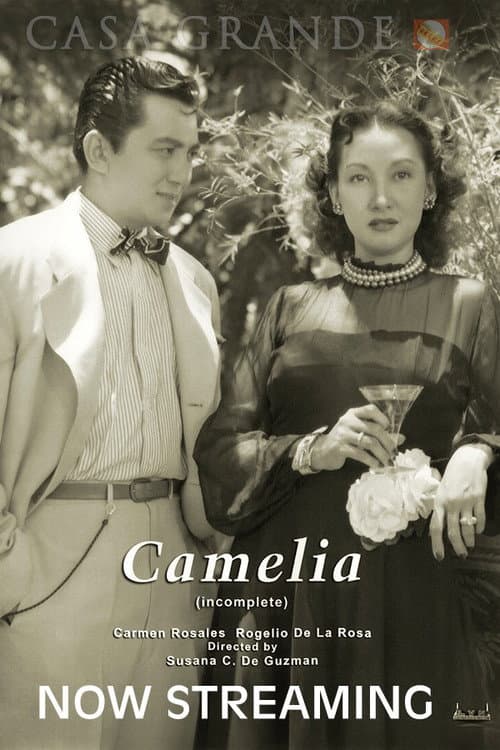 Poster for Camelia