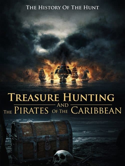 Poster for Treasure Hunting And The Pirates Of The Caribbean