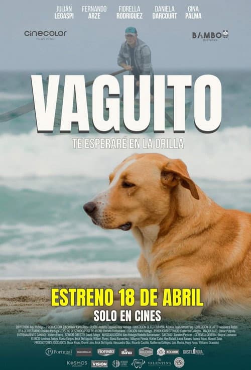 Poster for Vaguito, te esperaré en la orilla