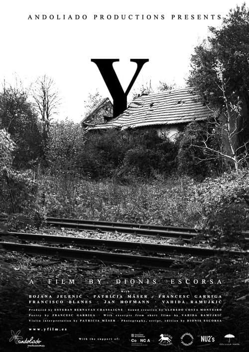 Poster for Y