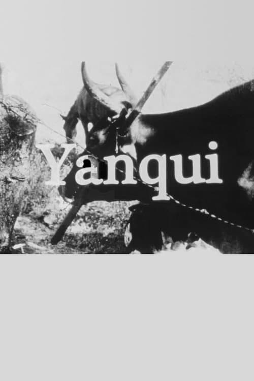 Poster for Yanqui WALKER and the OPTICAL REVOLUTION