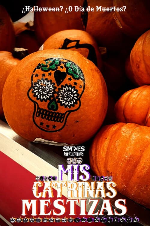 Poster for Mis Catrinas Mestizas