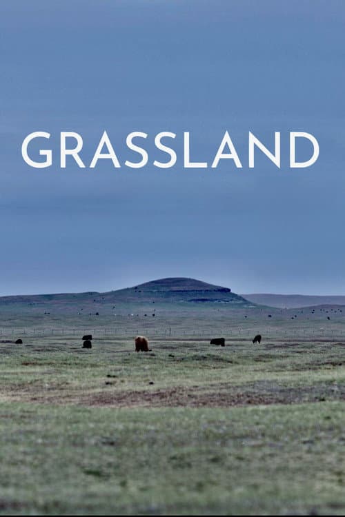 Poster for Grassland