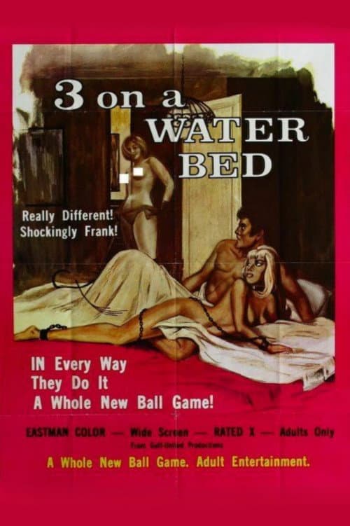Poster for The Session