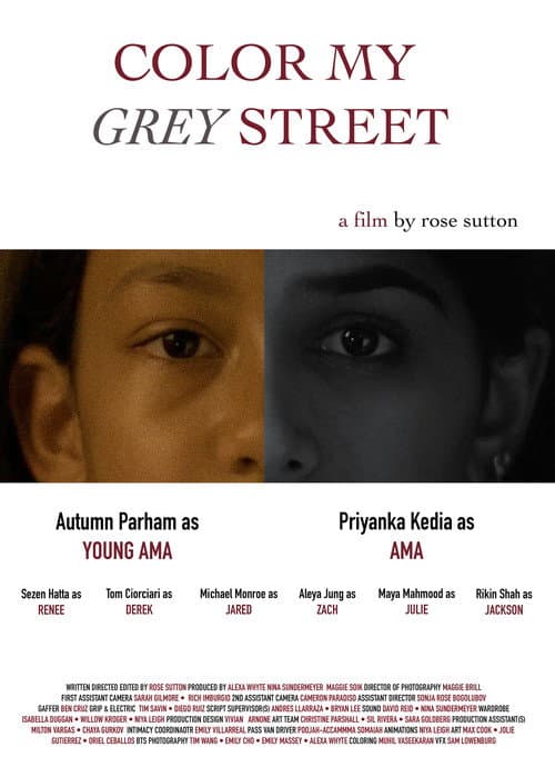 Poster for Color My Grey Street