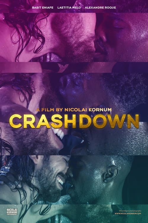 Poster for Crashdown