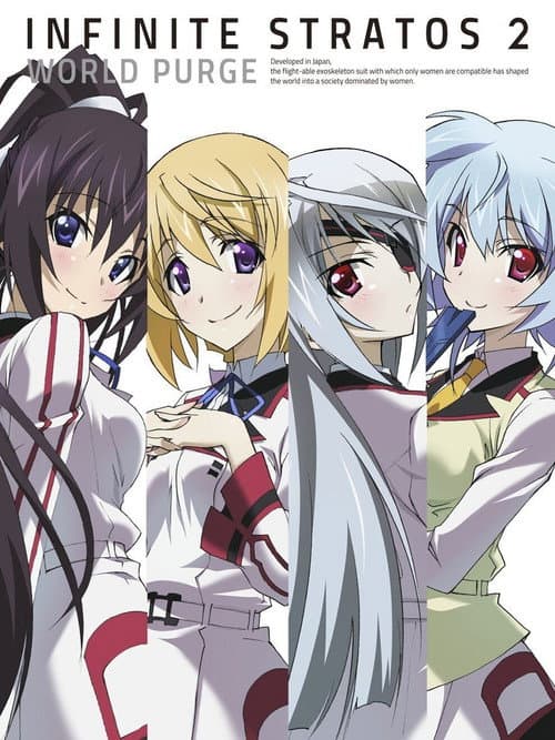 Poster for Infinite Stratos