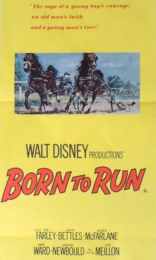 Постер до фільму «Born to Run»