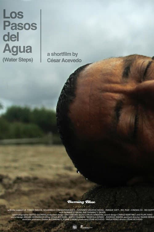 Poster for Water Steps