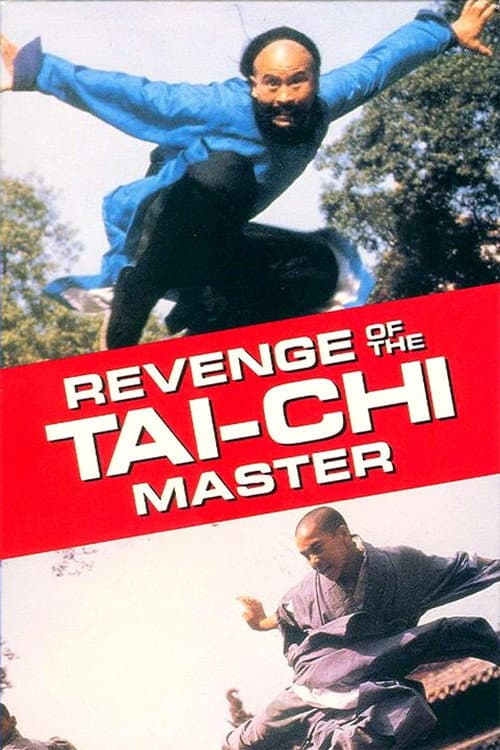 Poster for Secret of Tai Chi