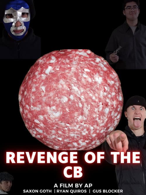 Poster for Revenge of the CB
