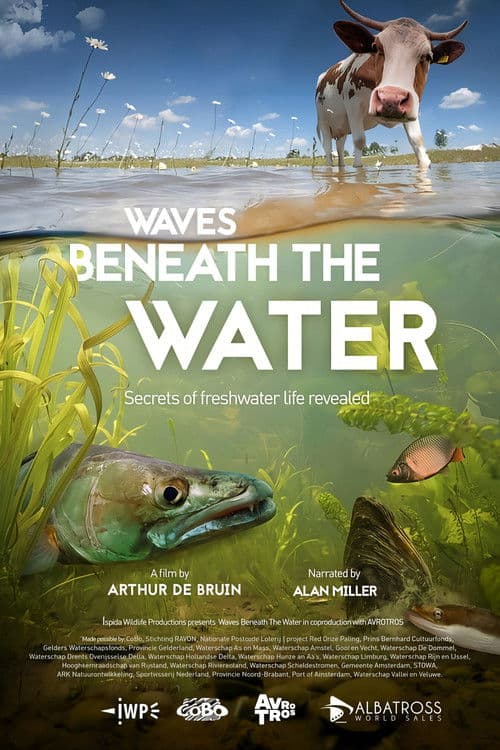 Постер до фільму «Waves Beneath The Water, Secrets of freshwater life revealed»