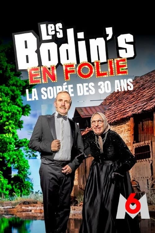 Poster for Les Bodin's en folie