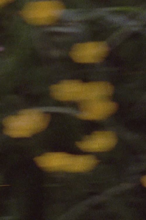 Poster for Pan 698