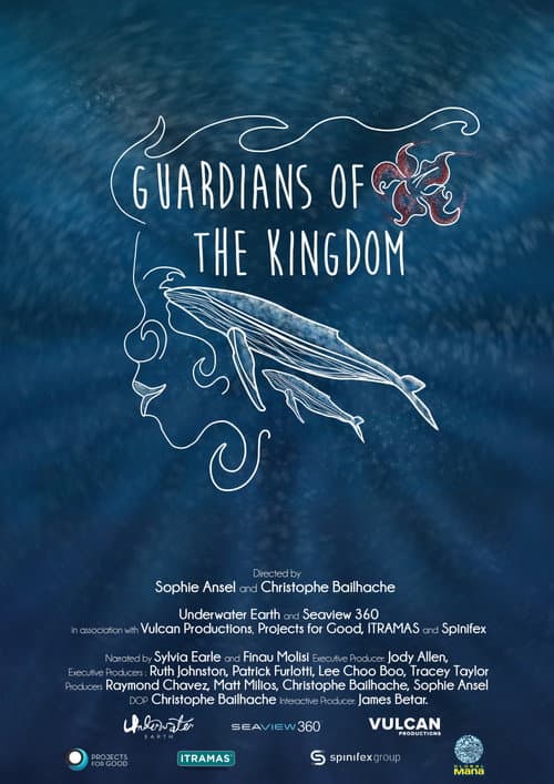 Poster for Guardians of the Kingdom