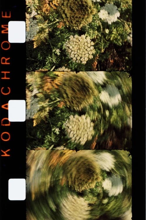 Poster for Midi
