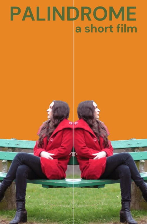 Poster for Palindrome