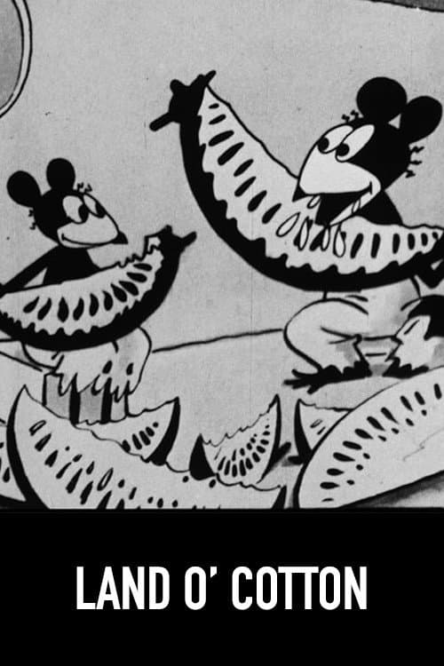 Poster for Land o' Cotton