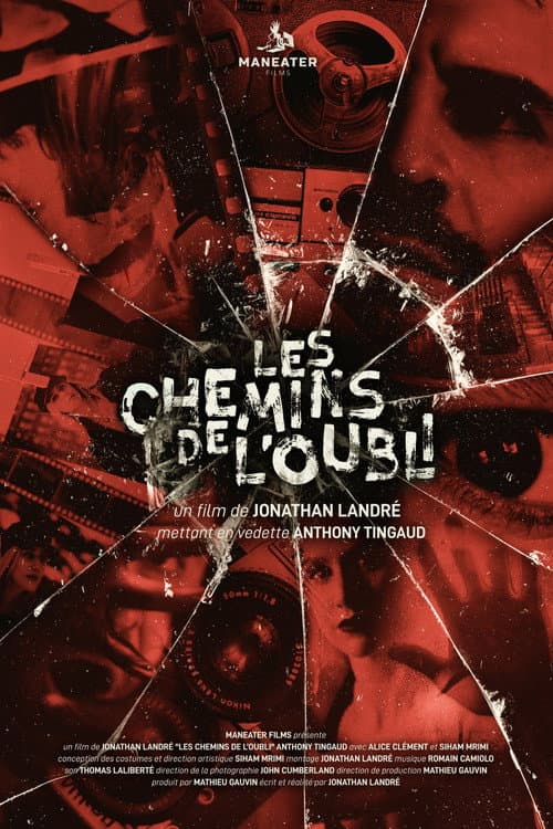 Poster for Les chemins de l'oubli