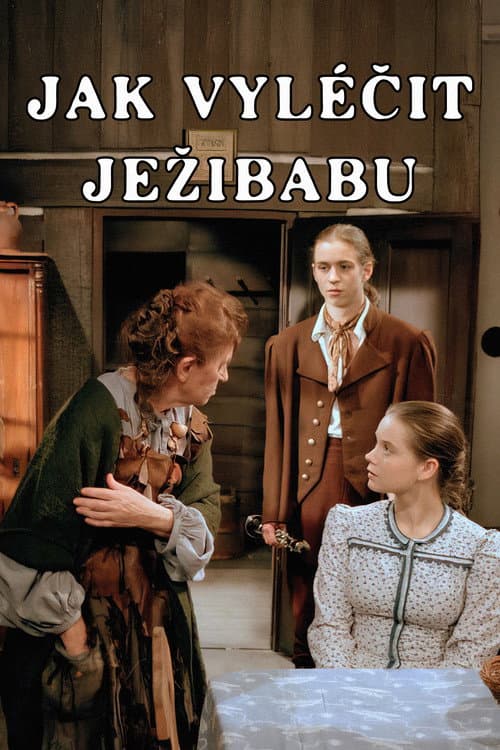 Poster for Jak vyléčit Ježibabu