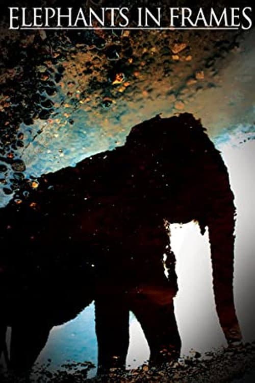 Poster for Elephant Power