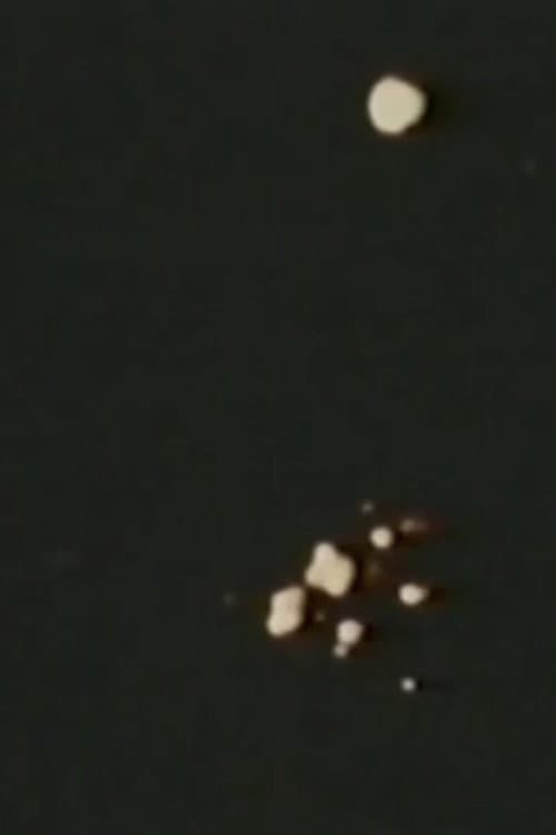 Poster for Song 11