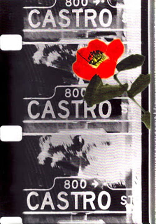 Poster for Castro Street