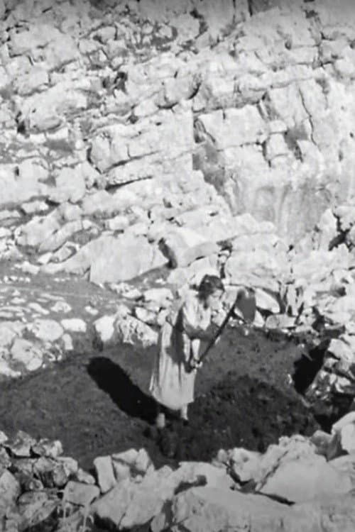 Poster for Prisoners of Stones