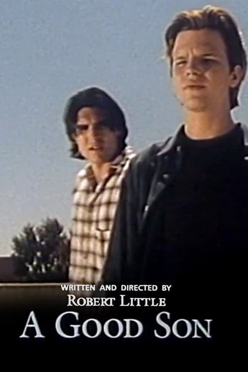 Poster for A Good Son