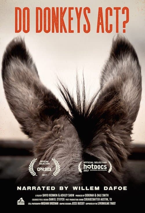 Poster for Sanctuary