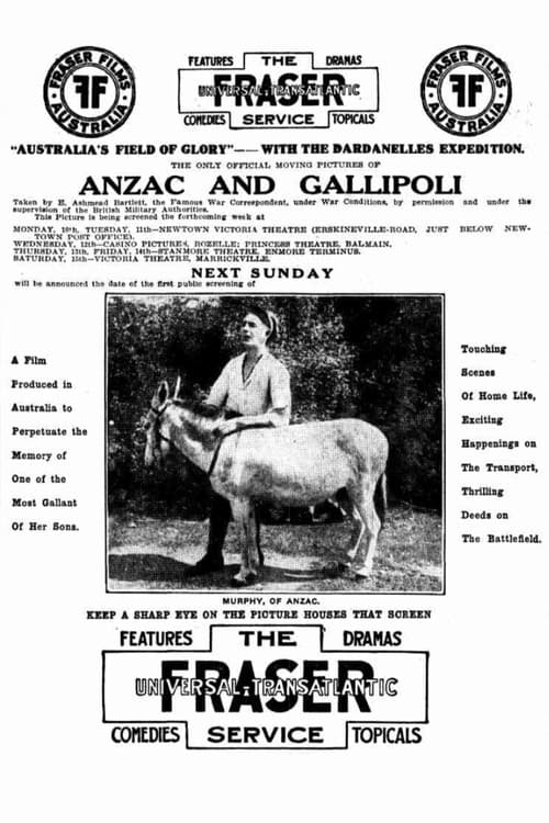 Poster for Murphy of Anzac