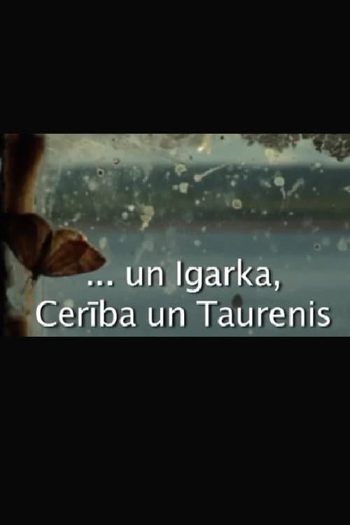 Poster for Igarka, Hope and Butterfly