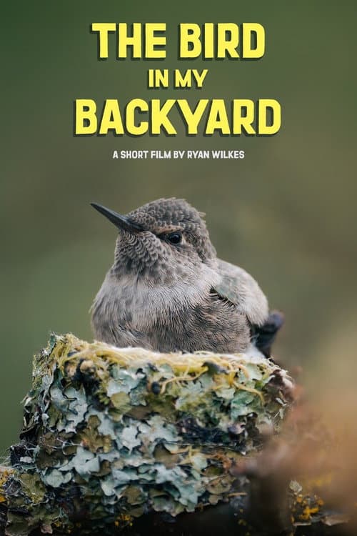 Poster for The Bird in My Backyard