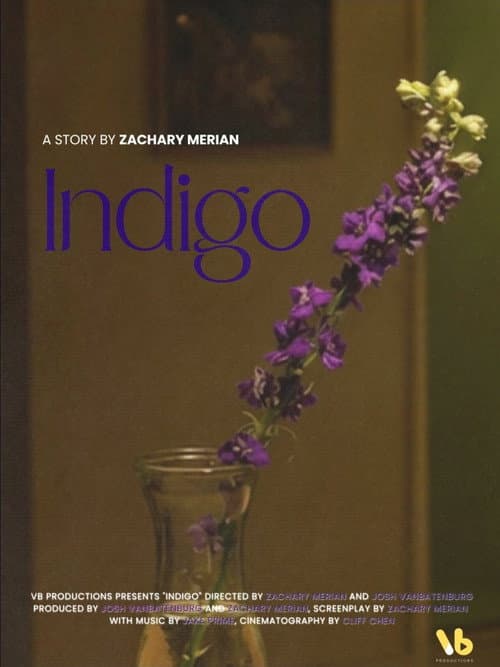 Poster for INDIGO