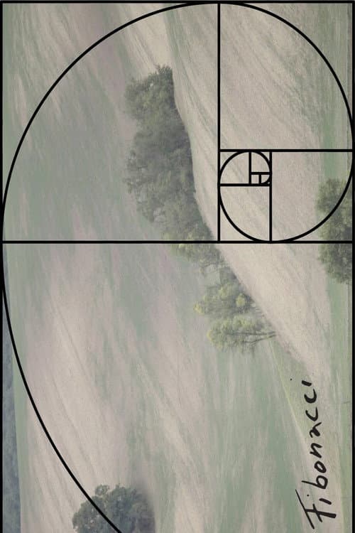 Poster for Fibonacci