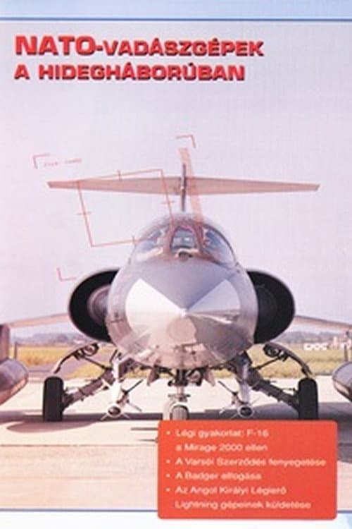 Poster for Combat in the Air - NATO Cold War Interceptors